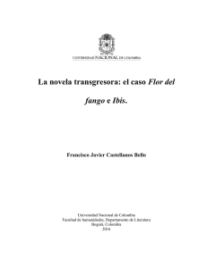 La novela transgresora: el caso Flor del fango e Ibis.