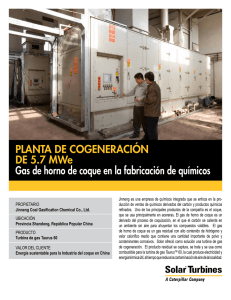PLANTA DE COGENERACIÓN DE 5.7 MWe Gas de horno de coque