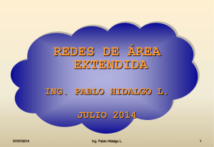 Redes de &Aacute;rea Extendida