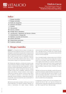 Cascos, Póliza Española para seguro de Buques con