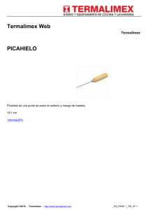 picahielo - Termalimex Web