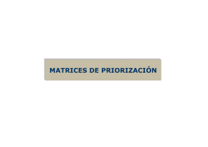 MATRICES DE PRIORIZACIÓN