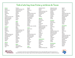 Great Texas vegetables and fruit are available all year long (Spanish)