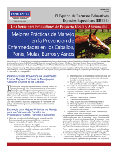 Mejores Prácticas de Manejo en la Prevención de Enfermedades en