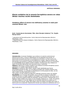 Efecto oxidativo de la anemia ferropénica severa en ratas Wistar
