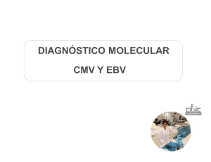 diagnóstico molecular cmv y ebv