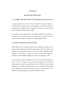 CAPITULO II REVISIÓN DE LITERATURA 2.1. LA BROCA DEL