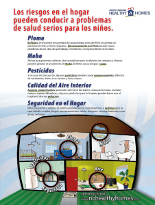 Health Homes Fact Sheet (español)