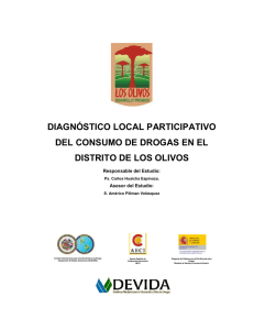 Diagnóstico Final de Los Olivos