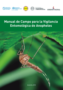 Manual de Campo para la Vigilancia Entomológica de Anopheles