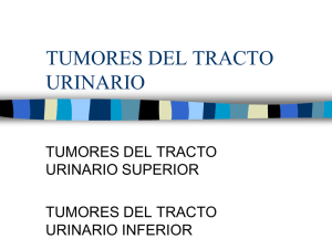 tumor tracto superior