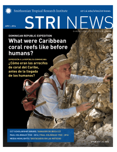 What were Caribbean coral reefs like before humans?