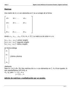 Sistemas de Ecuaciones Lineales y Algebra Matricial