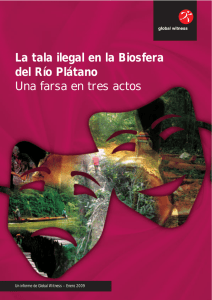 La tala ilegal en la Biosfera del Río Plátano Una