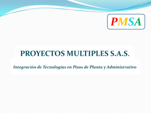 PMSA - Proyectos Multiples SAS