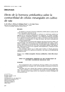 Efecto de la hormona antidiurética sobre la contractílidad de células