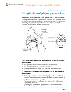 PE041S Tonsil and Adenoid Surgery - Spanish