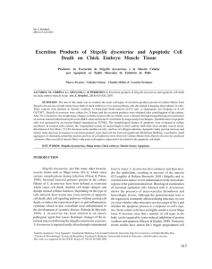 Excretion Products of Shigella dysenteriae and Apoptotic Cell Death