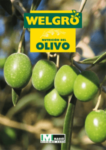 WELGRO Nutricion OLIVO.fh11