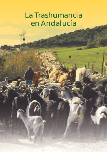 Trashumancia en Andalucía - Trashumancia y Naturaleza