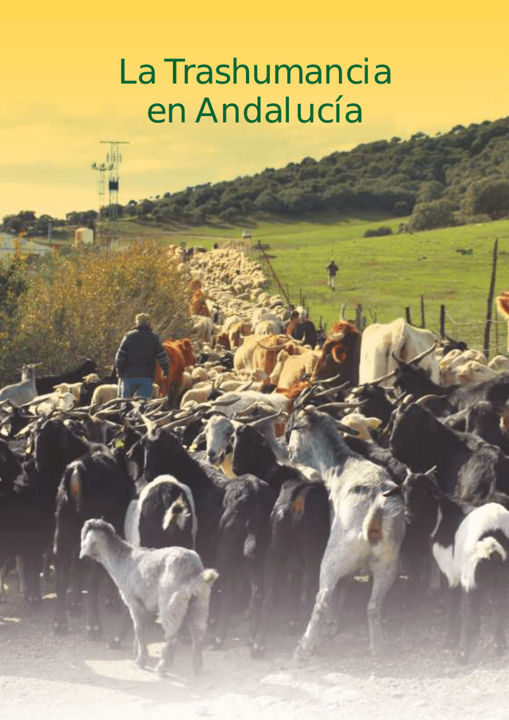 Trashumancia en Andalucía Trashumancia y Naturaleza