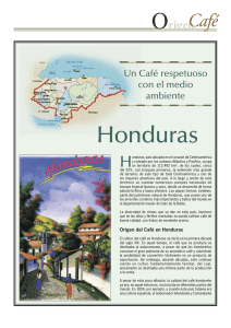 Origen del Café: Honduras