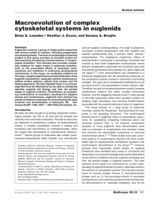 Macroevolution of complex cytoskeletal systems in euglenids