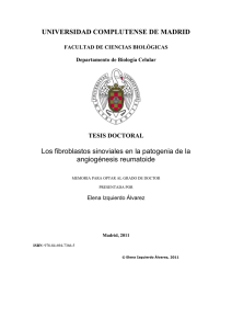 UNIVERSIDAD COMPLUTENSE DE MADRID Los fibroblastos