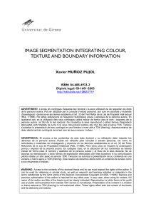 Image segmentation integrating colour, texture and boundary
