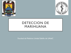 deteccion de marihuana