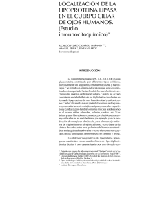 LOCALIZACIÓN DE LA LIPOPROTEINA LIPASA EN EL CUERPO