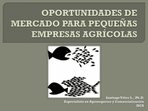 oportunidades de mercado para pequeñas empresas agrícolas