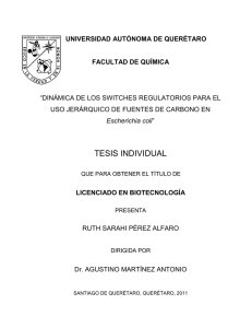 Escherichia coli - Universidad Autónoma de Querétaro