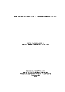tesis analisis organizacional de la empresa carmetalica ltda.