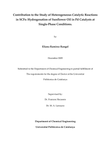 Contribution to the Study of Heterogeneous Catalytic