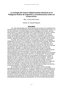 La ecología del huemul (Hippocamelus bisulcus) en la Patagonia