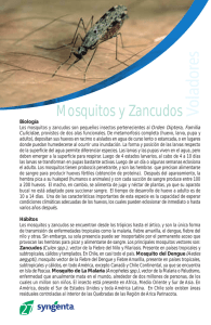 Mosquitos y Zancudos