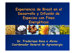 Experiencia de Brasil en el Desarrollo y Difusión de Especies con