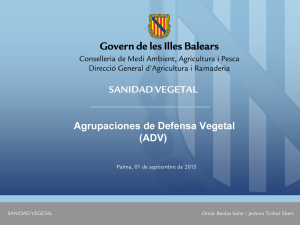 ADV - Govern de les Illes Balears