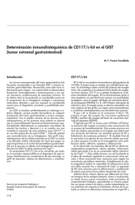 Determinación inmunohistoquímica de CD117/c