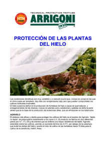 PROTECCIÓN DE LAS PLANTAS DEL HIELO
