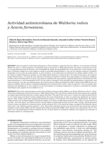 Actividad antimicrobiana de Waltheria indica y Acacia farnesiana.