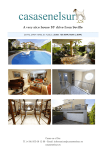 A very nice house 10′ drive from Seville
