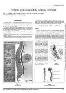 Estudio biomecánico de la columna vertebral