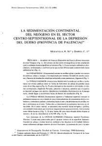 la sedimentación continental del neógeno en el sector centro