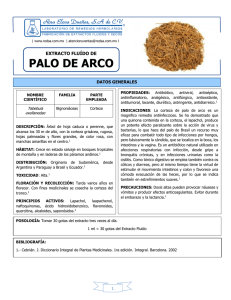 PALO DE ARCO - Extractos Naturales