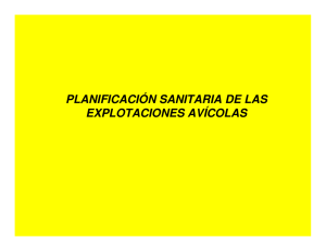 PLANIFICACIÓN SANITARIA DE LAS EXPLOTACIONES AVÍCOLAS
