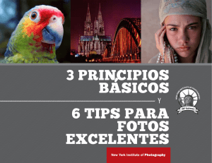 3 PRINCIPIOS BASICOS 6 TIPS PARA fOTOS EXCELENTES `