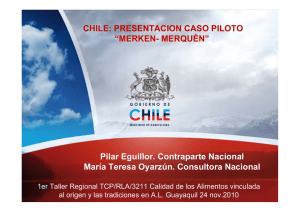 CHILE - Merkèn