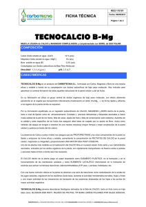 FT TECNOCALCIO B-Mg Rev.1